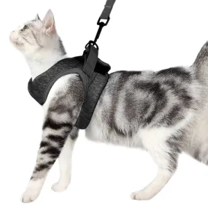 Cat Harness with Reflective Strap Soft Mesh Adjustable Walking Jacket for Kitten