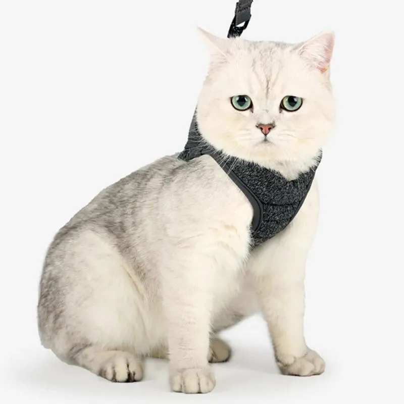 Cat Harness with Reflective Strap Soft Mesh Adjustable Walking Jacket for Kitten