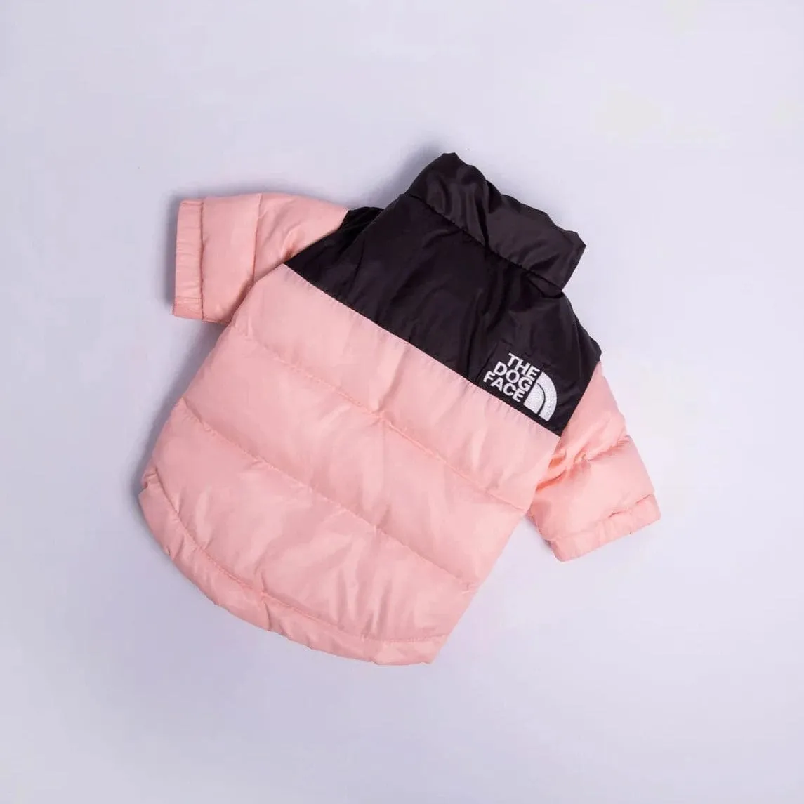 The Dog Face Jacket For Dachshunds