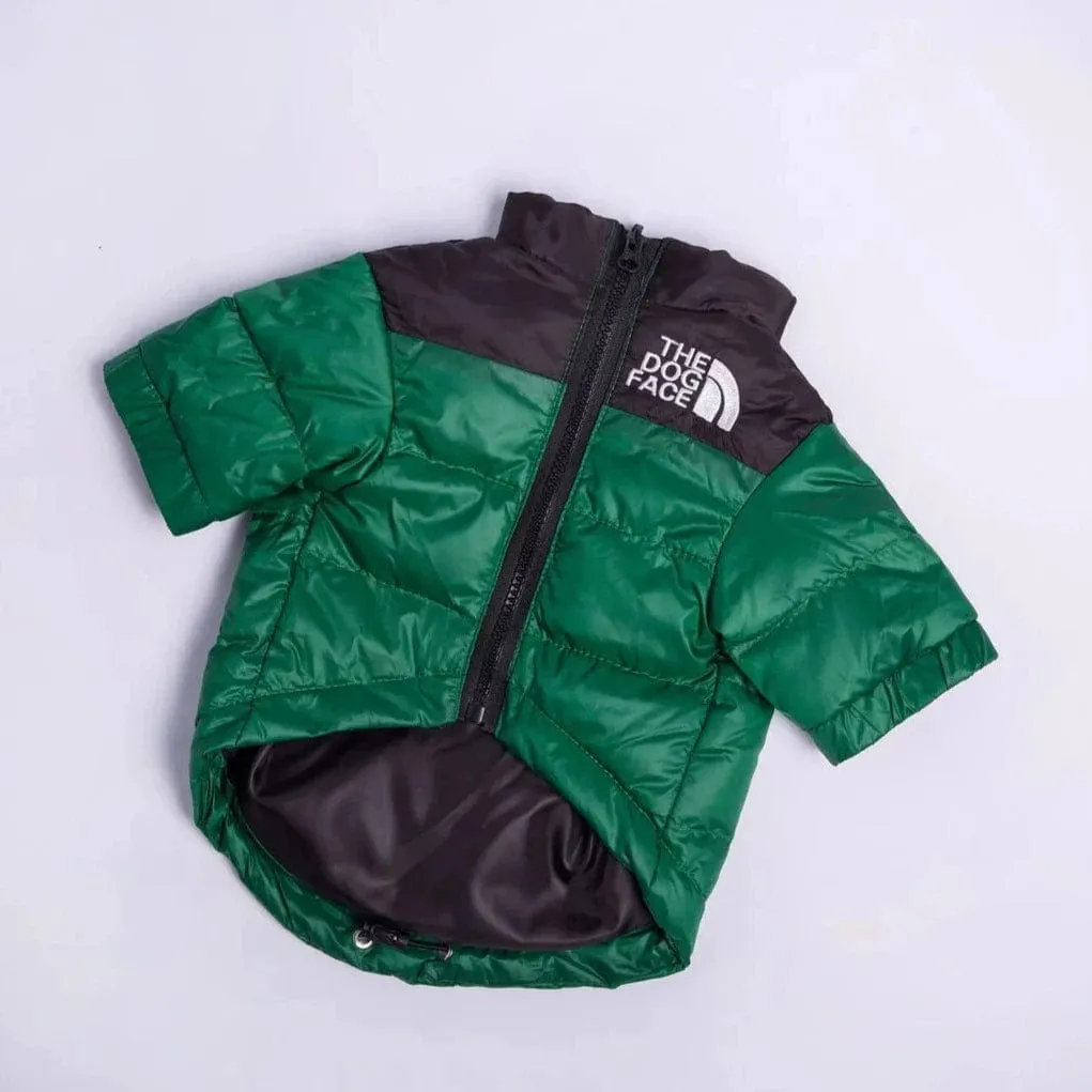 The Dog Face Jacket For Dachshunds