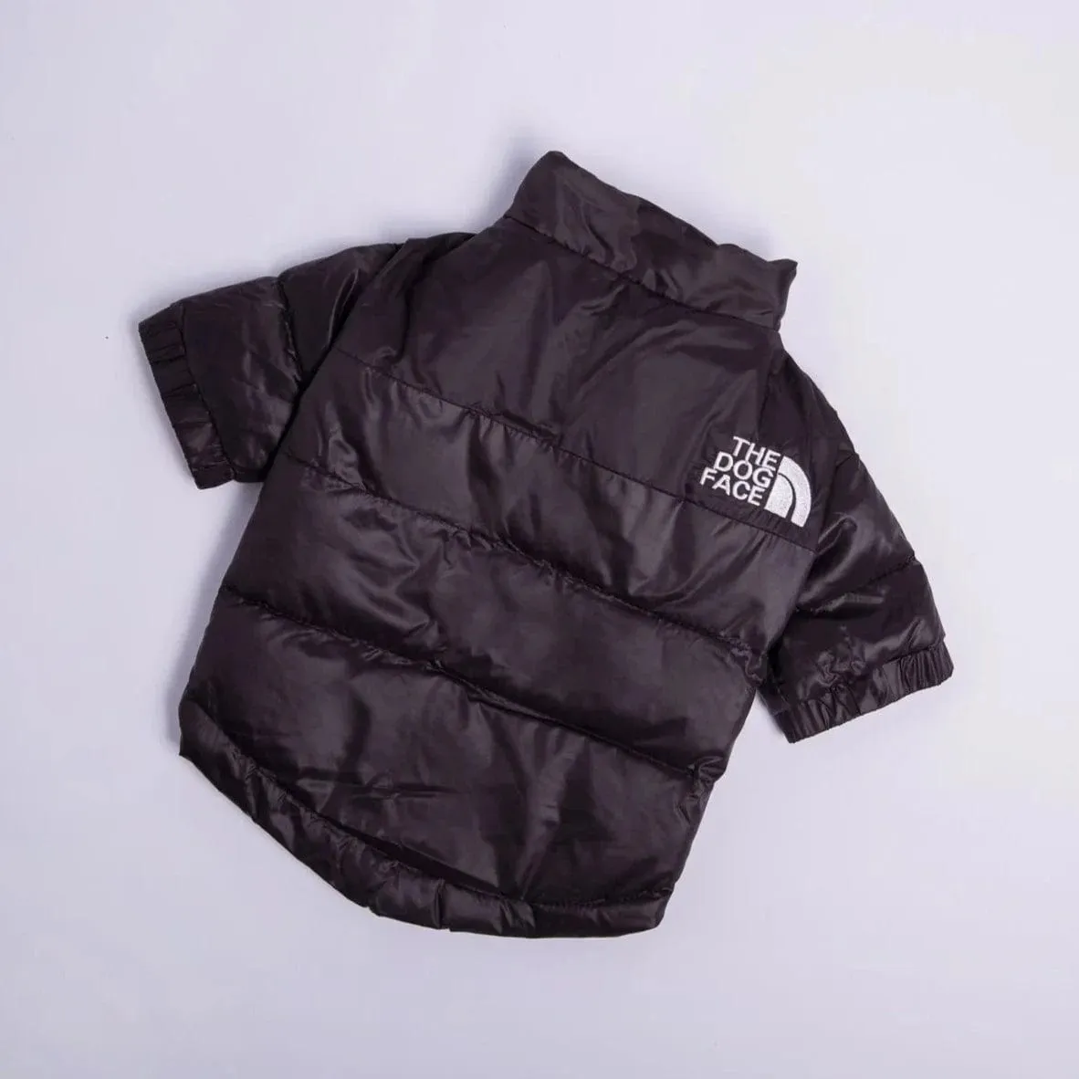 The Dog Face Jacket For Dachshunds
