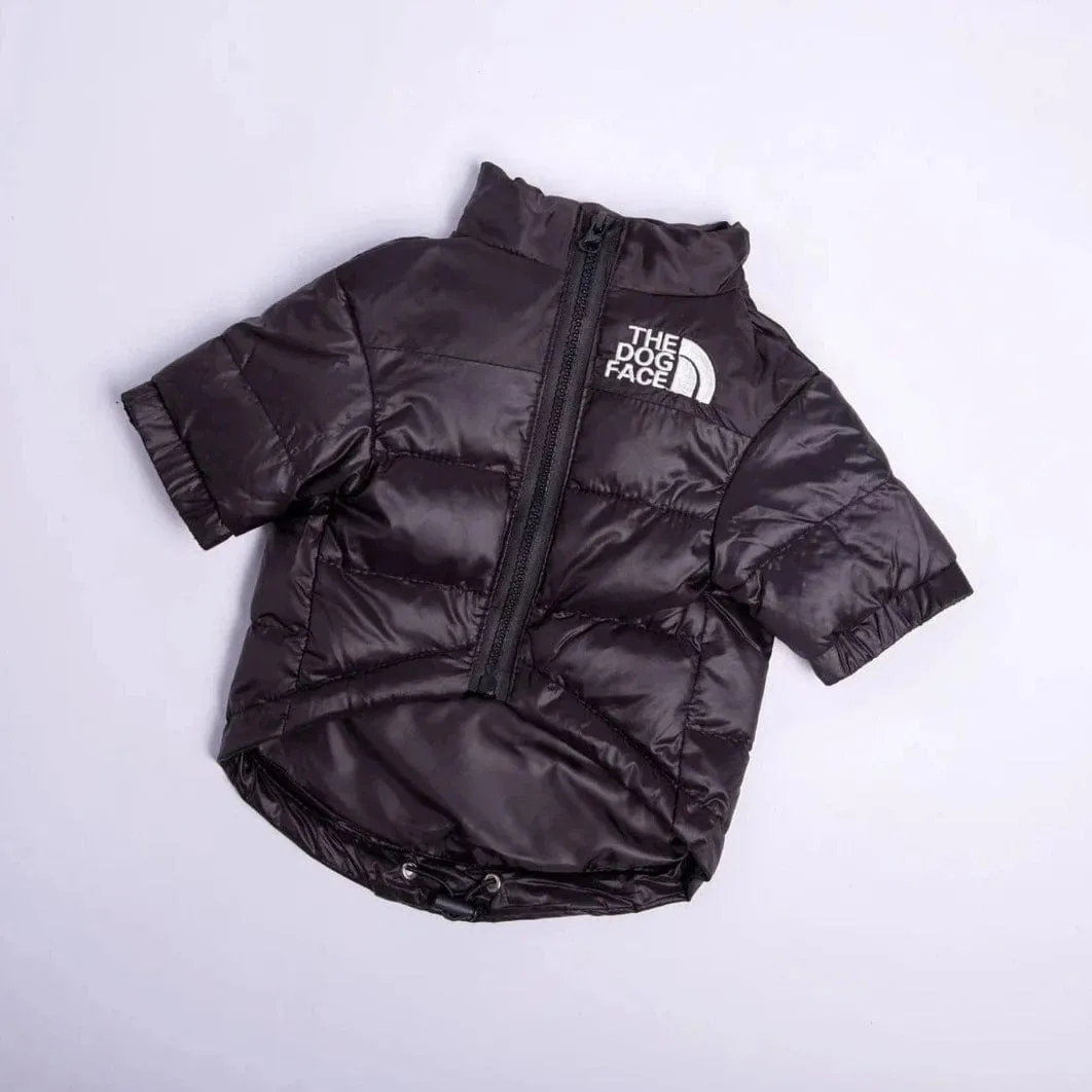 The Dog Face Jacket For Dachshunds