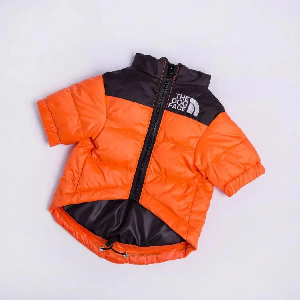 The Dog Face Jacket For Dachshunds