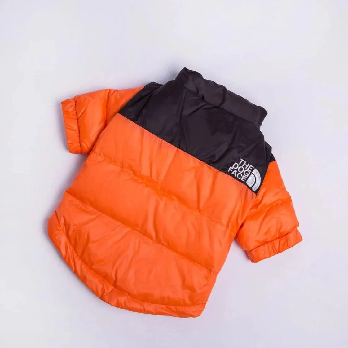 The Dog Face Jacket For Dachshunds
